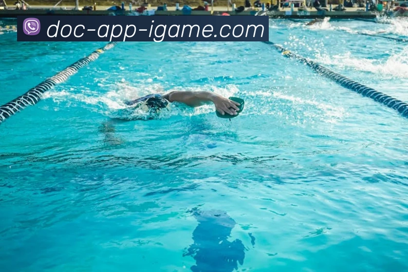 体育数据展示